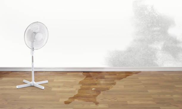 Best Water damage restoration process  in Plymouth, NC