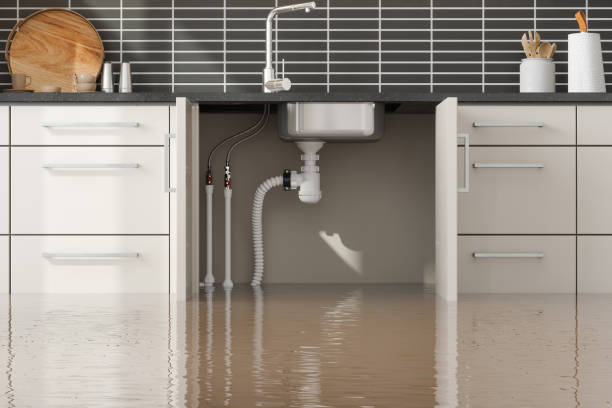 Plymouth, NC Water damage restoration Company