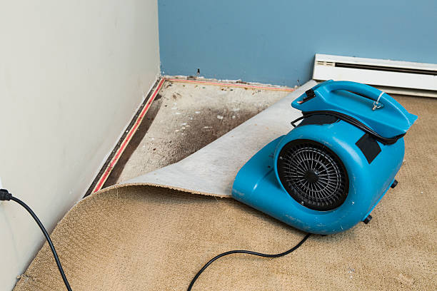 Best 24/7 water damage repair  in Plymouth, NC
